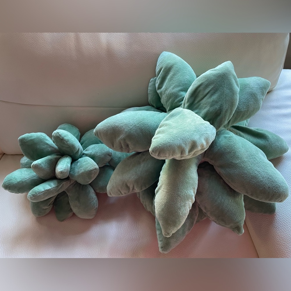 Succulent Pillow- Stuffed Plant Plush 3D Pillow- Set of  2. Very good condition!